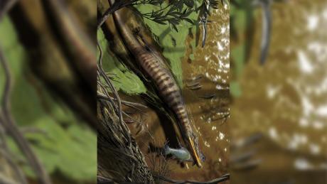Illustration de Baryonyx walkeri, un spinosauridé du Royaume-Uni, chassant et se nourrissant.
