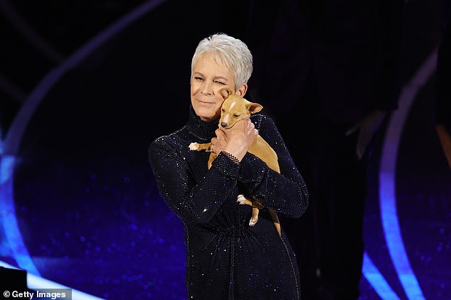 Liefjes: Curtis bracht de pup - schattig Mac N Cheese genaamd - voor het eerst in haar armen op het Dolby Theatre bij de 94e Academy Awards tijdens het herdenkingssegment terwijl ze een paar woorden sprak over de legende op het scherm en haar werk benadrukte om het dier te redden gemeenschap