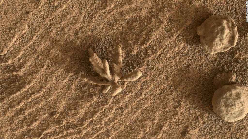 Een kleine "bloem" formatie gespot door de Curiosity rover op Mars