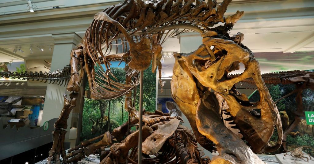 Wetenschappers suggereren dat Tyrannosaurus drie soorten had, niet alleen 'Rex'