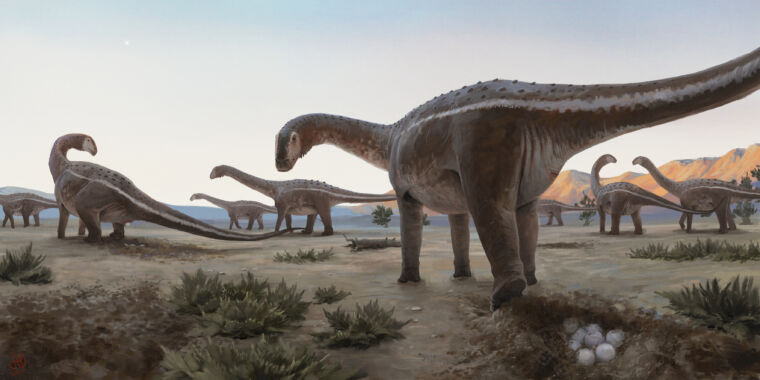 Er is een nestplaats voor een titanosaurus gevonden in Brazilië