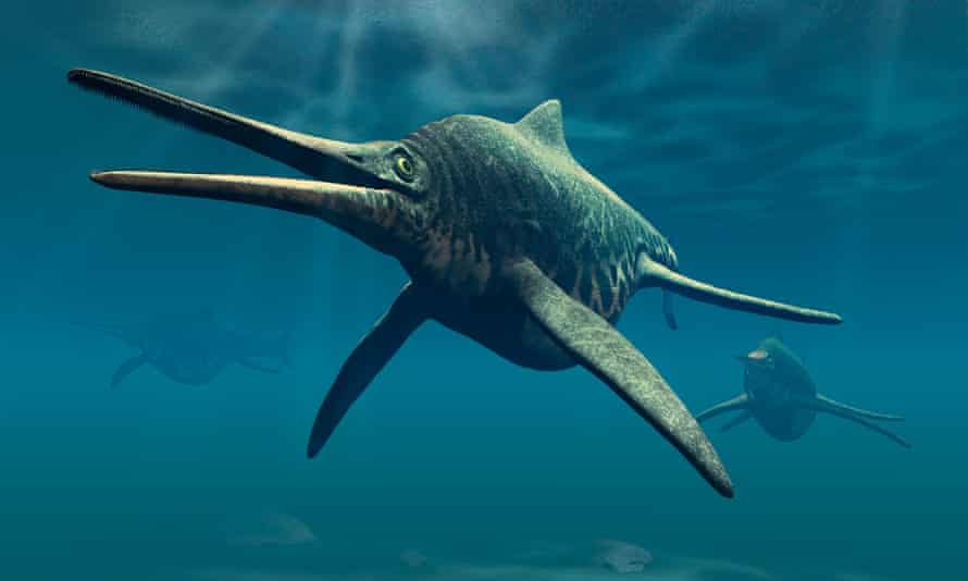 Shonisaurus, een ander lid van het geslacht Ichthyosaurus uit het Trias