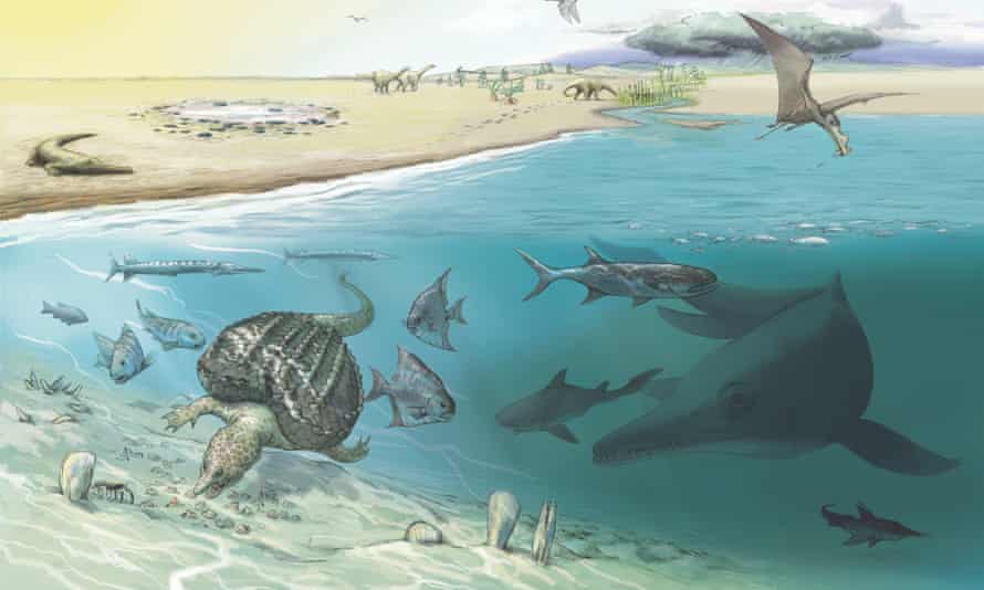Aangenomen wordt dat ichthyosaurussen ter grootte van een walvis af en toe ondiepe wateren hebben bezocht