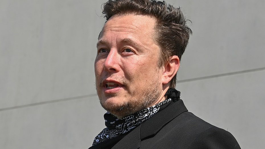 Tesla-CEO Elon Musk is in oorlog met de regering-Biden
