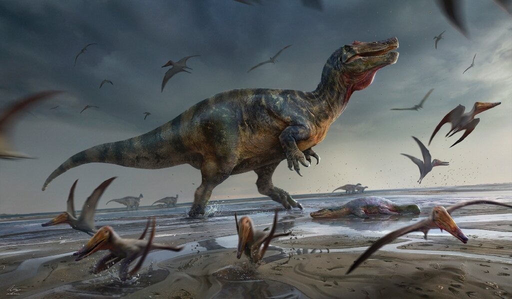 Britse fossielenjager ontdekt grootste roofdinosaurus van Europa