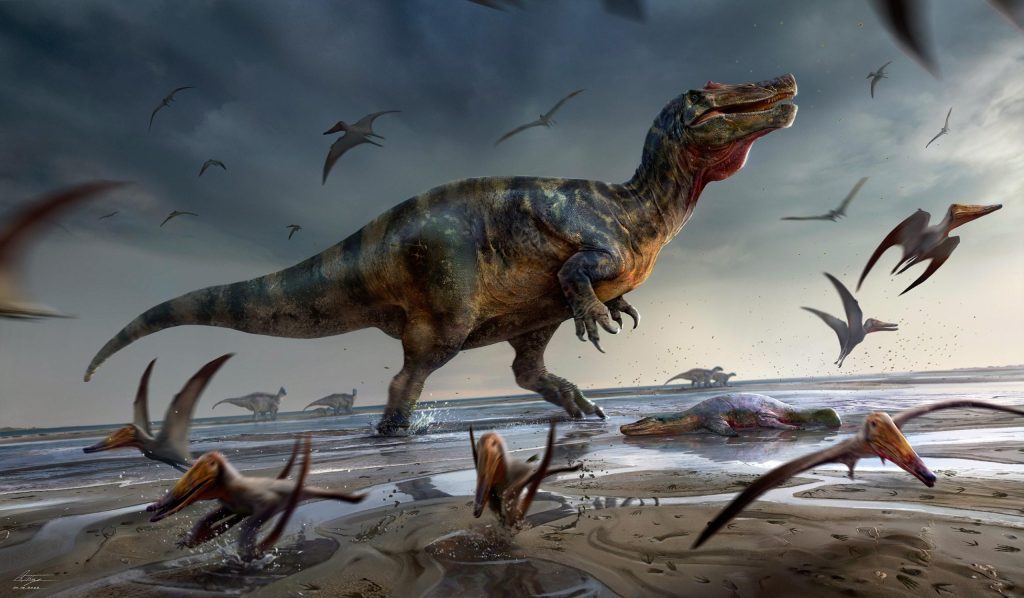 De ontdekking van de grootste roofzuchtige dinosaurus in Europa op het Isle of Wight