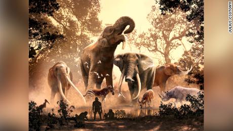 Moderne olifanten zijn ontsnapt aan de oude klimaatverandering.  Er waren niet meer dan 180 andere soorten, waaronder mastodonten