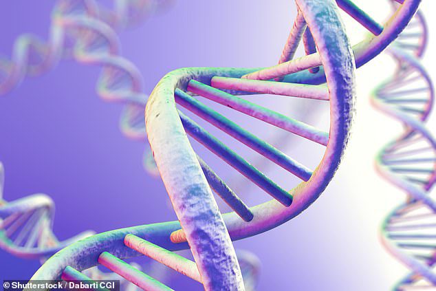 Om DNA en RNA te vormen, zijn twee soorten chemische bouwstenen nodig - of nucleobasen