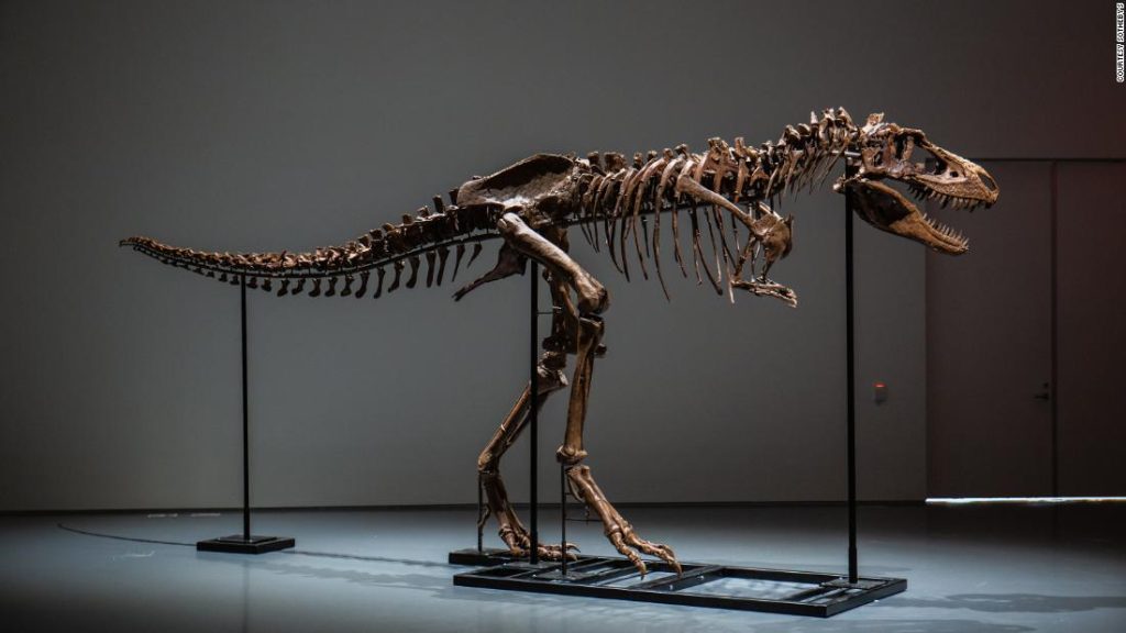 Dit gigantische Gorgosaurus-fossiel wordt geveild