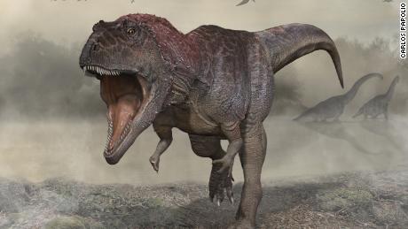 Er zijn nieuwe soorten dinosaurussen met kleine wapens zoals T. rex ontdekt