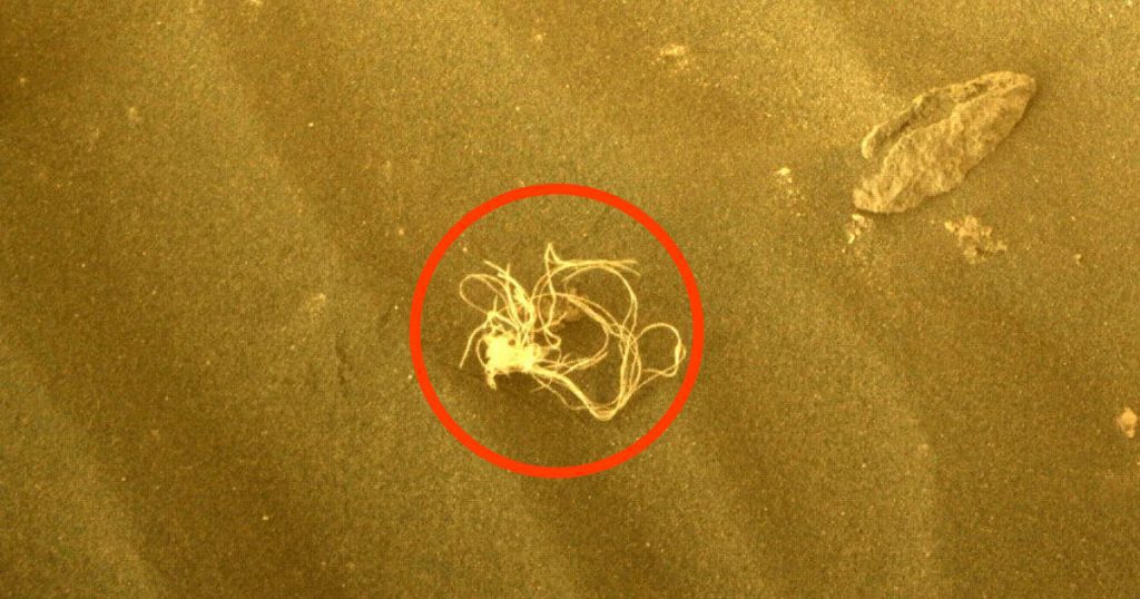 NASA gefascineerd door een pasta-achtig object gevonden op Mars