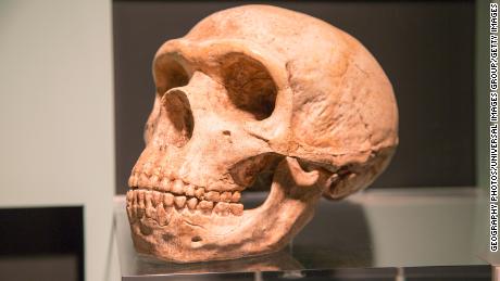 Hoe DNA Neanderthaler de menselijke gezondheid beïnvloedt - inclusief het risico op Covid-19