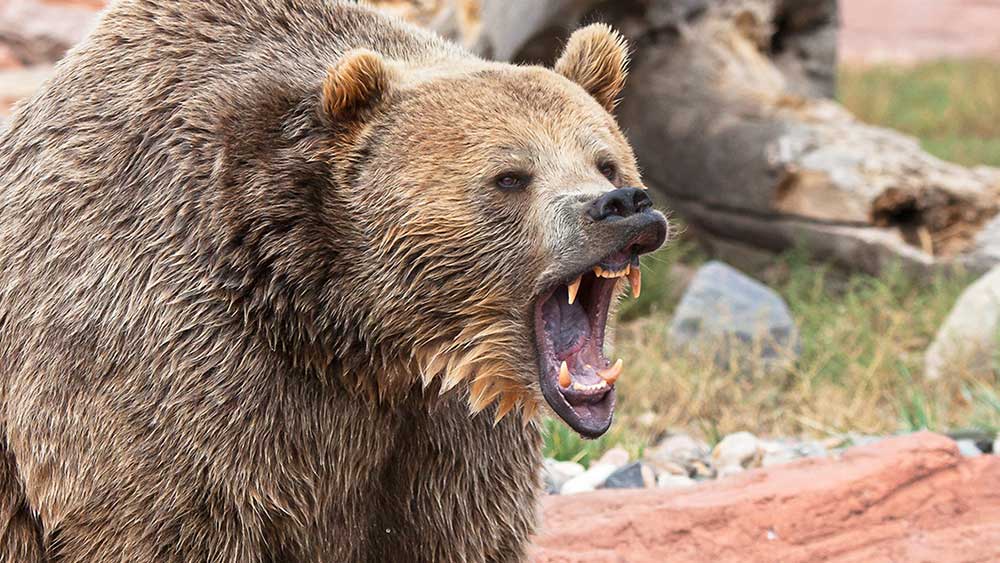Dow Jones bereikt een bearmarkt na short selling vandaag;  Wat ben je nu aan het doen