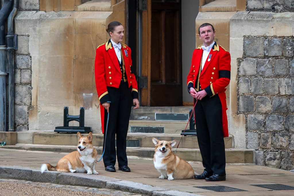 Honden van koningin Elizabeth, pony: de rol die dieren speelden bij de begrafenis