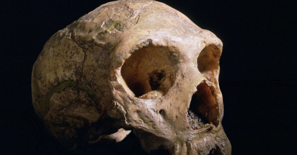Wat maakt jouw brein anders dan een Neanderthaler?