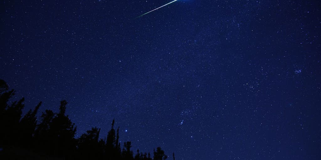 De meteorenregen van hagedissen zal naar verwachting volgende week zijn hoogtepunt bereiken