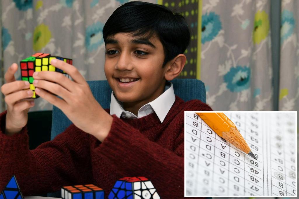 Britse jongen (11) haalt hoogst mogelijke IQ-score