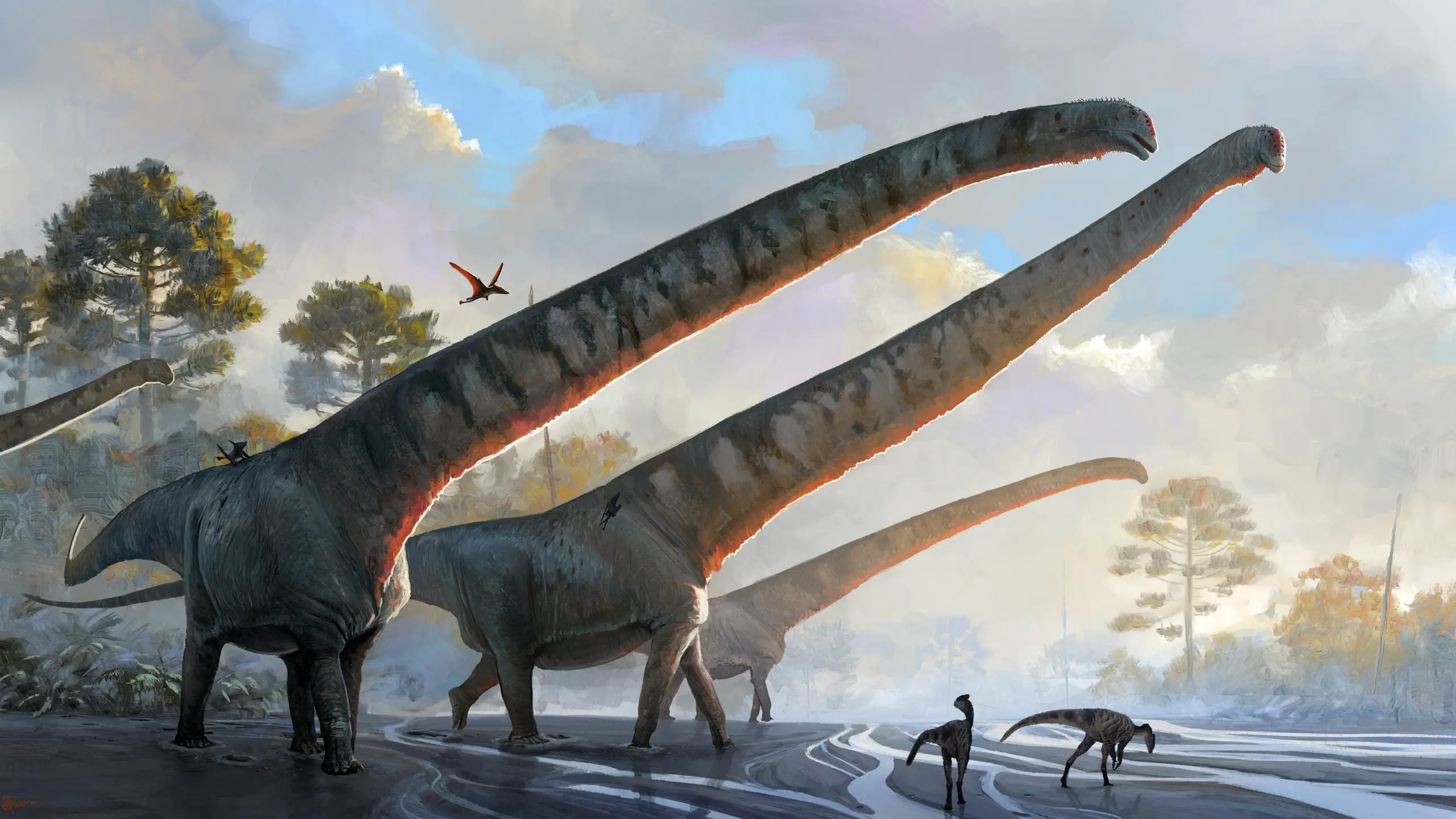 Nieuwe fossiele analyse onthult een dinosaurus met een nek van 50 voet