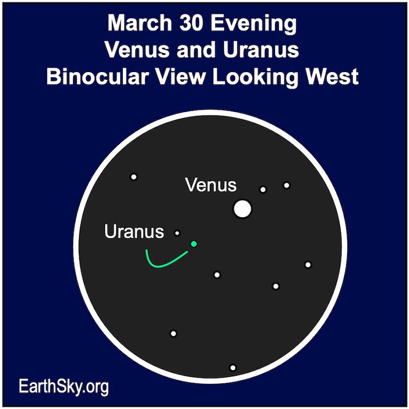 30 maart, Venus en Uranus door een verrekijker.  Venus rechtsboven, groter en helderder.