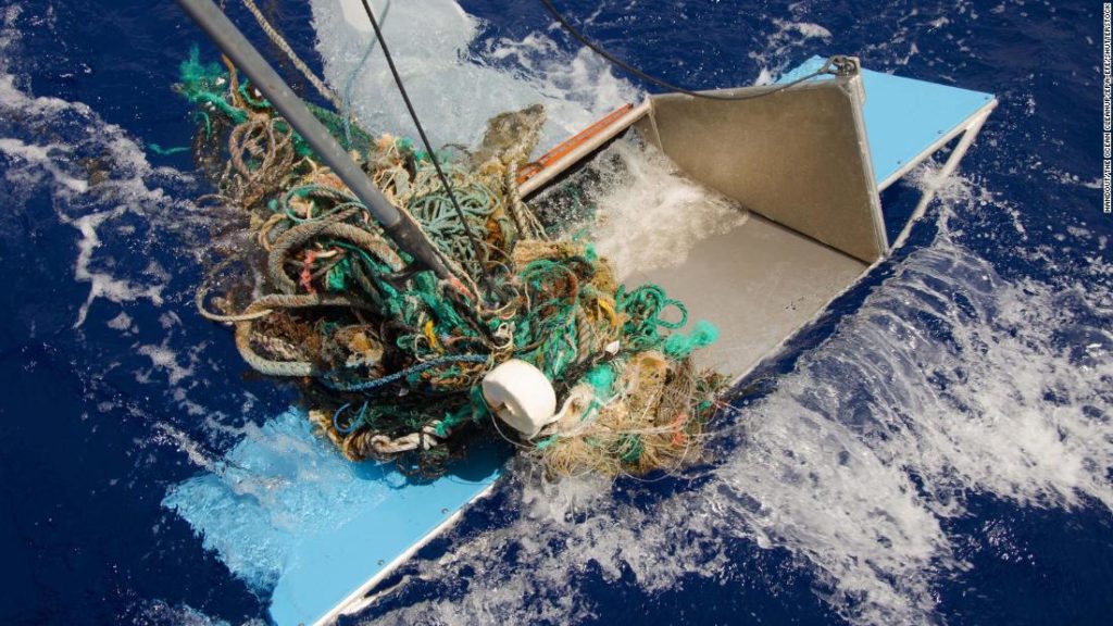De Great Pacific Garbage Patch is nu zo enorm en duurzaam dat het kustecosysteem erop gedijt