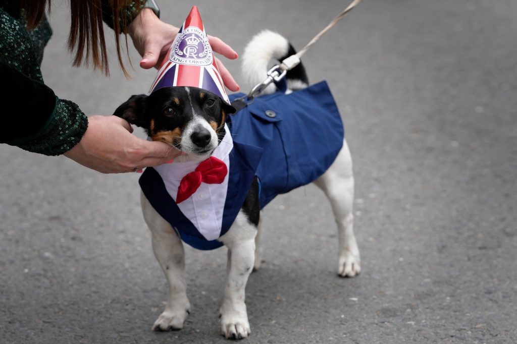 Een hond verkleedt zich voor de grote lunch in Alfriston in East Sussex, Engeland.