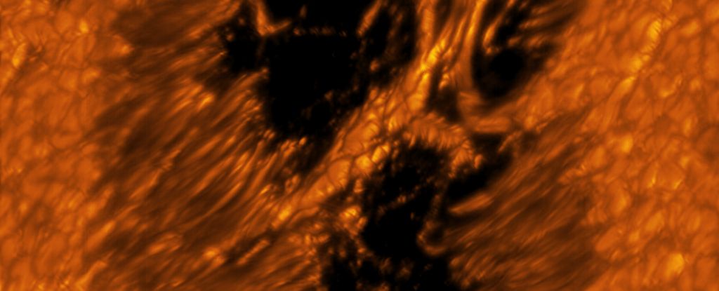Boeiende close-ups tonen verbazingwekkende details verborgen in de schittering van de zon: ScienceAlert