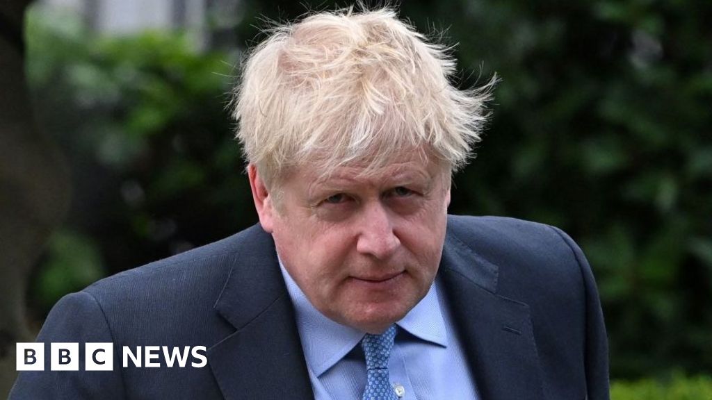 Boris Johnson dumpt door de overheid aangestelde advocaten voor Covid-onderzoek