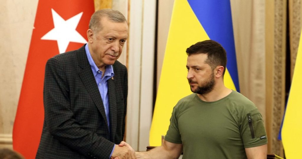 Erdogan steunt het bod van Oekraïne op de NAVO en zegt dat Poetin volgende maand Turkije zal bezoeken - POLITICO