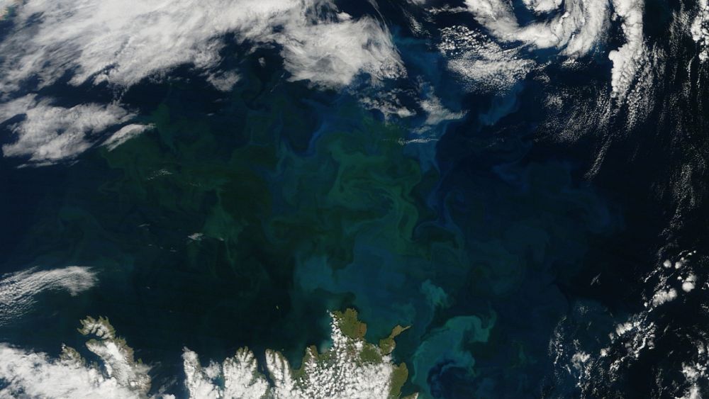 Groen worden: de oceanen op aarde veranderen als gevolg van klimaatverandering