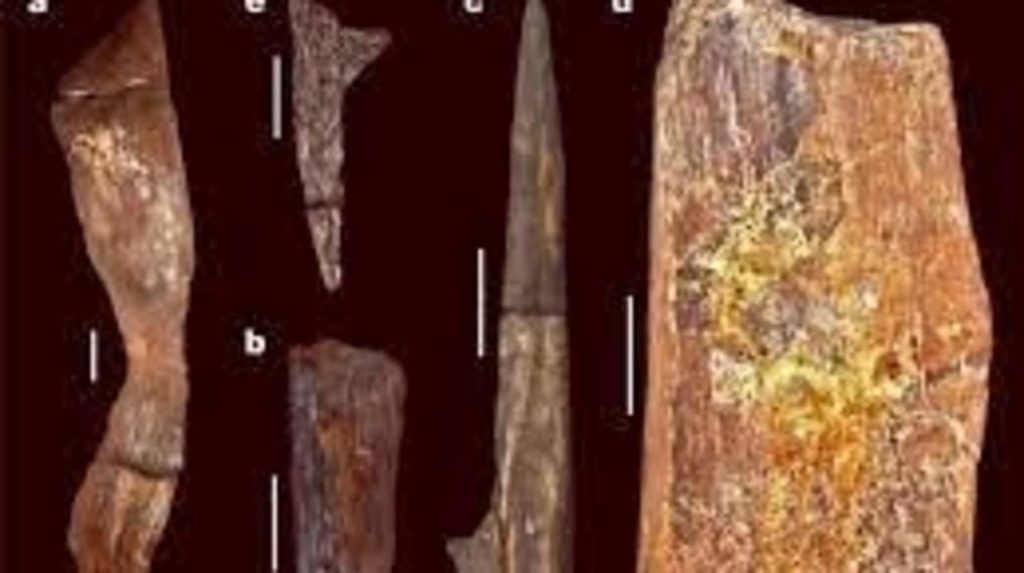 Archeologen vinden ongekende houten constructies van 500.000 jaar oud  wereldnieuws