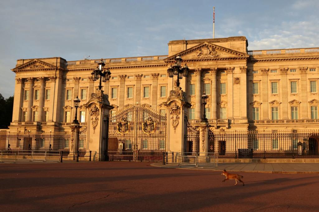 Indringer van Buckingham Palace gearresteerd omdat hij in koninklijke stallen was geklommen