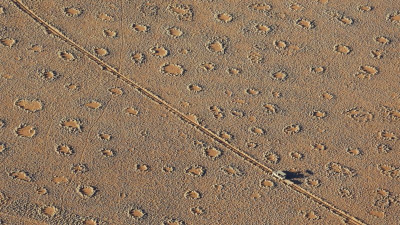 Mysterieuze ‘sprookjescirkels’ in Namibië en Australië zijn immers niet zo zeldzaam, zegt de studie