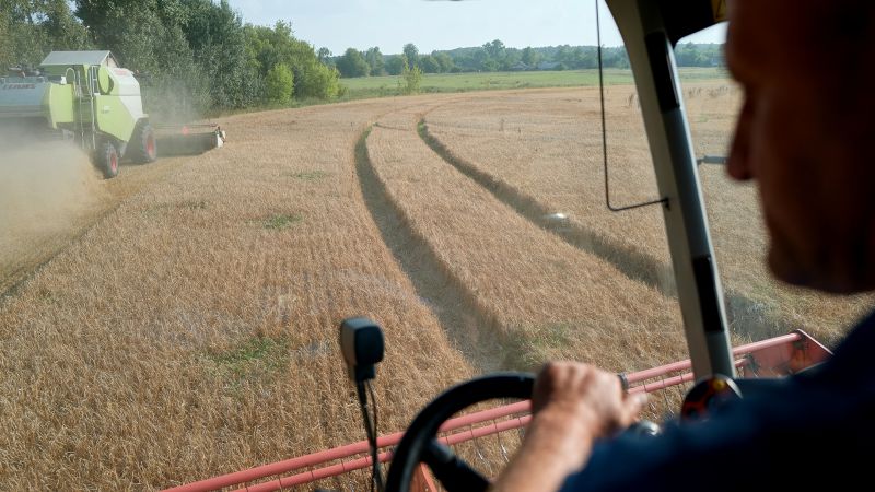 Polen, Slowakije en Hongarije trotseren de Europese Unie en verlengen een verbod op de invoer van Oekraïens graan