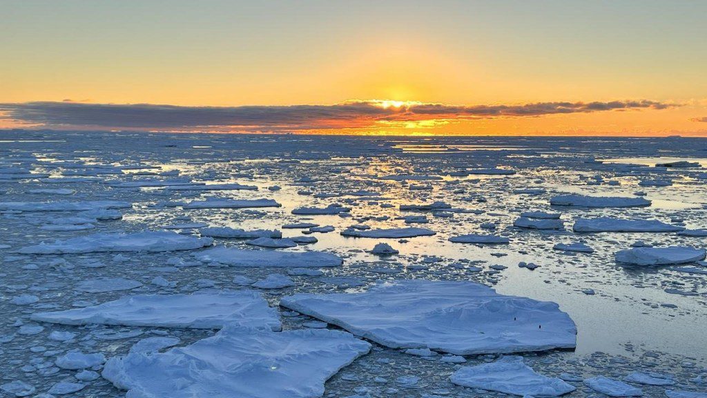 Het Antarctische zee-ijs is tot recordniveau gedaald. 