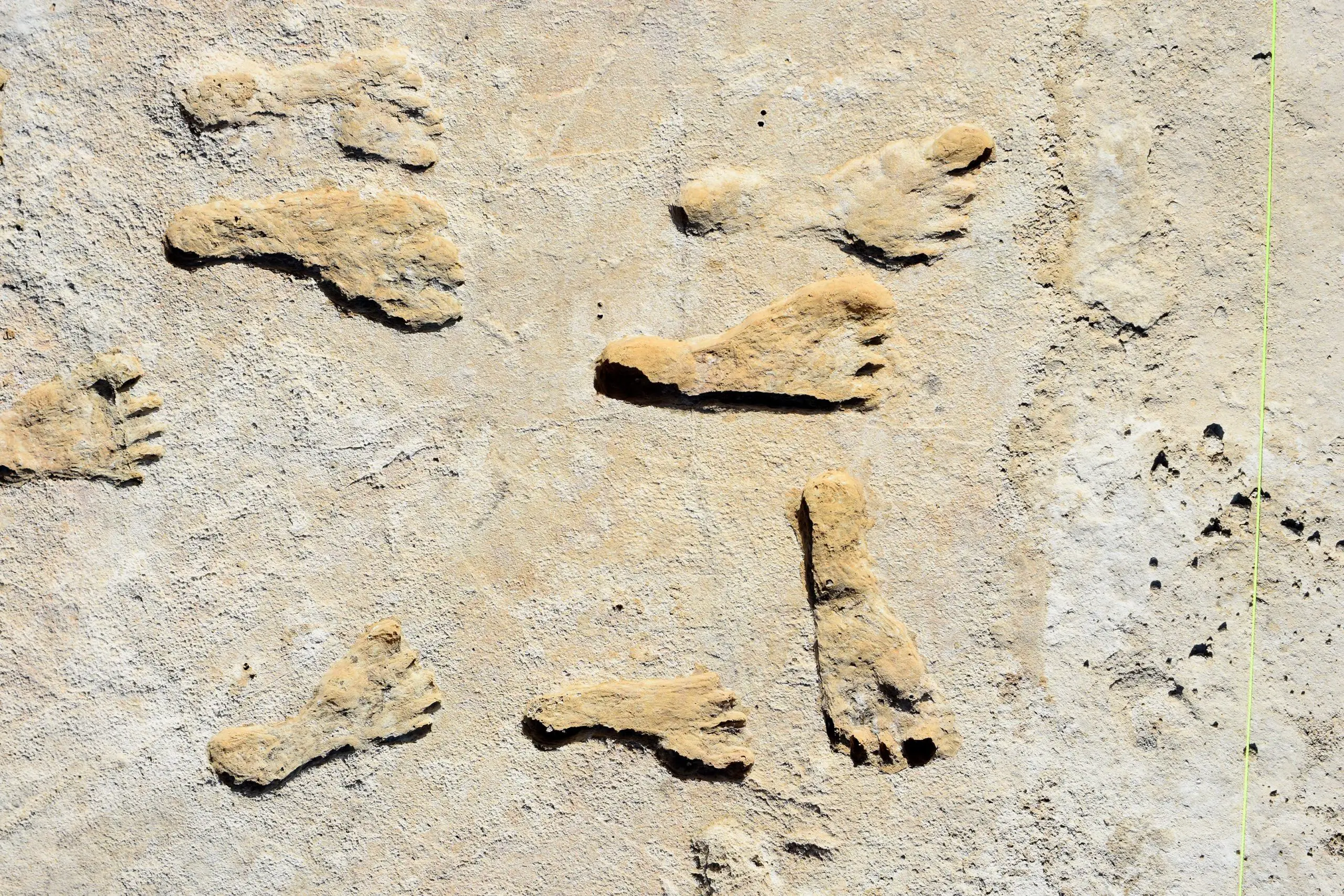 Oude voetafdrukken in New Mexico veranderen de tijdlijn van de vroege menselijke aanwezigheid in Noord-Amerika