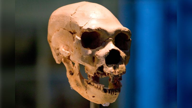 Wetenschappers hebben mogelijk een mysterie opgelost over de oorsprong van de Neanderthalers