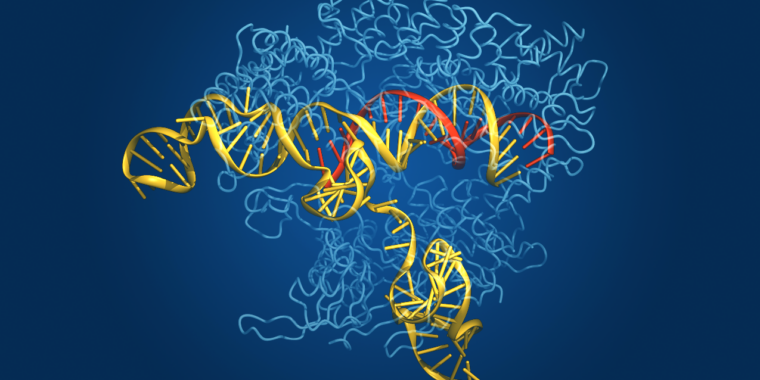Nieuw algoritme vindt veel genbewerkingsenzymen in omgevings-DNA