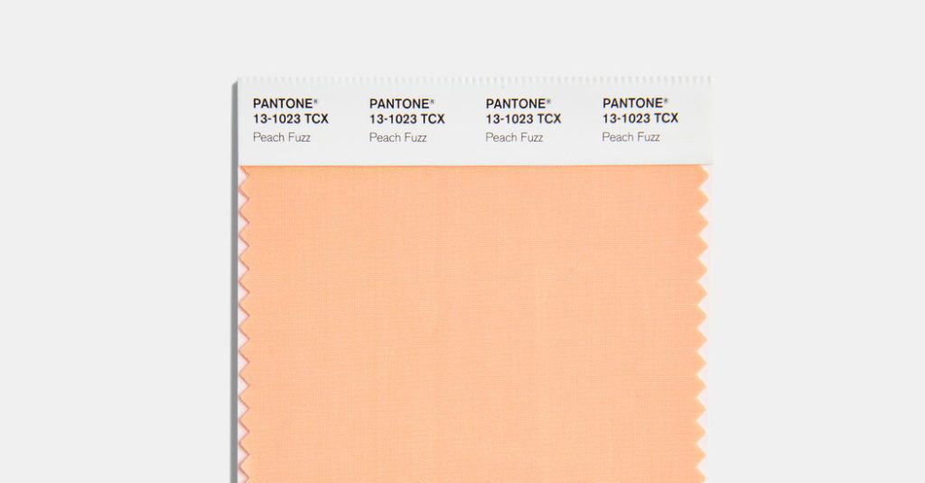 Pantone's Kleur van het Jaar voor 2024 is Peach Fuzz
