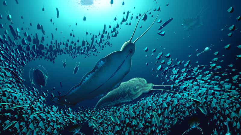 De ‘terreurmonsters’ leken op de haaien van de oude zeeën 518 miljoen jaar geleden