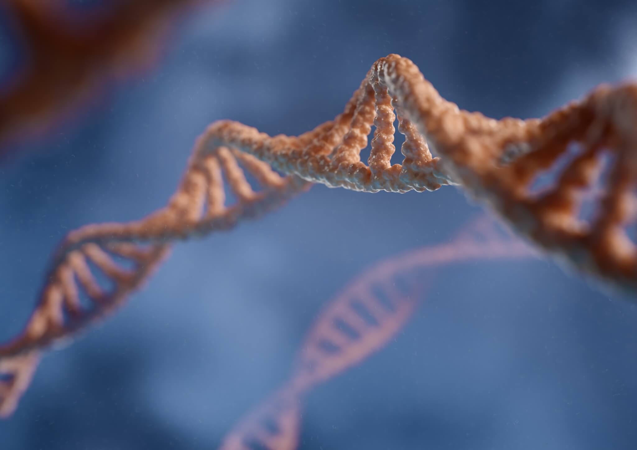 3D-weergave legt de dubbele helixstructuur van DNA vast tegen een blauwe achtergrond, waardoor de complexe schoonheid van de genetische code van het leven wordt benadrukt