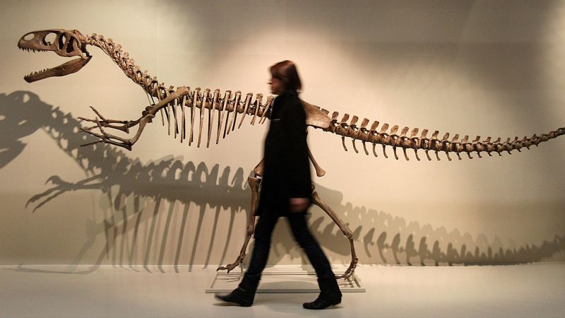 Megalosaurus, het fossiel dat dinosauriërs op de wereld introduceerde