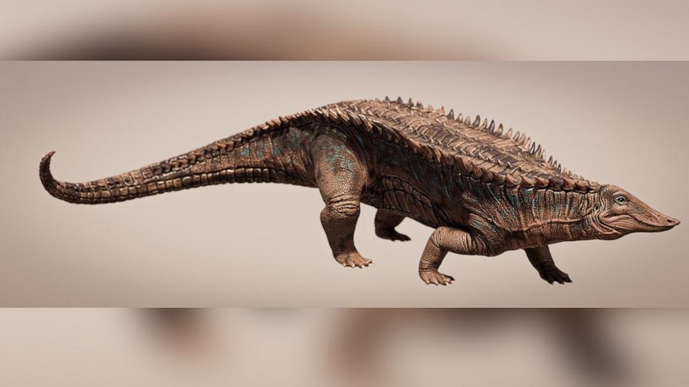Er is vastgesteld dat een voorouder van een krokodil 215 miljoen jaar oud is en dateert van vóór de dinosauriërs