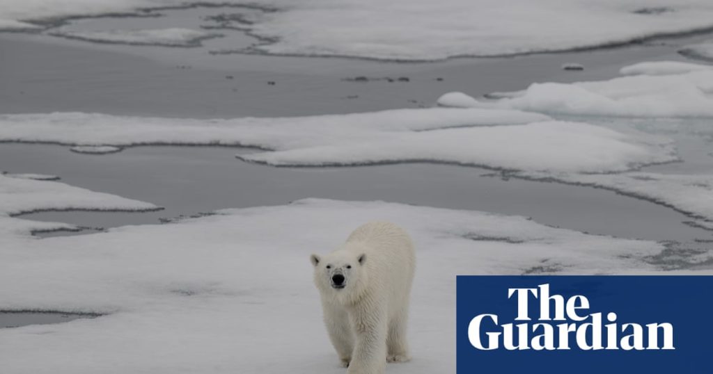 Wetenschappers zeggen dat een ijsvrije zomer in het Noordpoolgebied binnen tien jaar mogelijk is  Noordpool