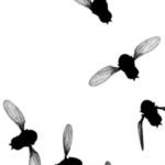 Snelle beeldvorming en kunstmatige intelligentie helpen ons te begrijpen hoe insectenvleugels werken