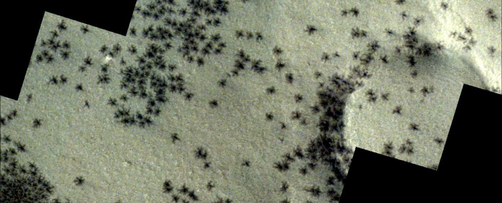 Vreemde spinnen verspreidden zich in verbazingwekkende foto's in de Inca-stad op Mars