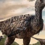 Voetafdrukken in China wijzen op een nieuwe megaraptor die met de dinosaurussen rondzwierf