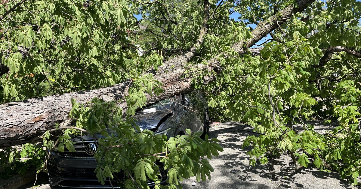 Allegheny County Council lanceert de commissie om de voorbereidelijkheid van de storm te herzien