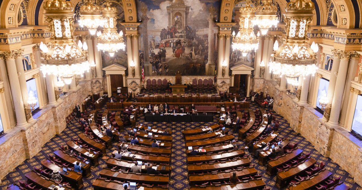 De verborgen talenten van Pa. Wetgevers: een schrijver van New Yorker, een MMA -jager en Alligator -reddingen