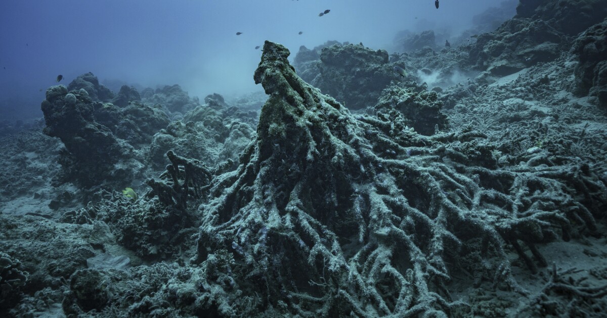 Het hoogste rechtbank van de VN zal beslissen over de klimaatverplichtingen van landen