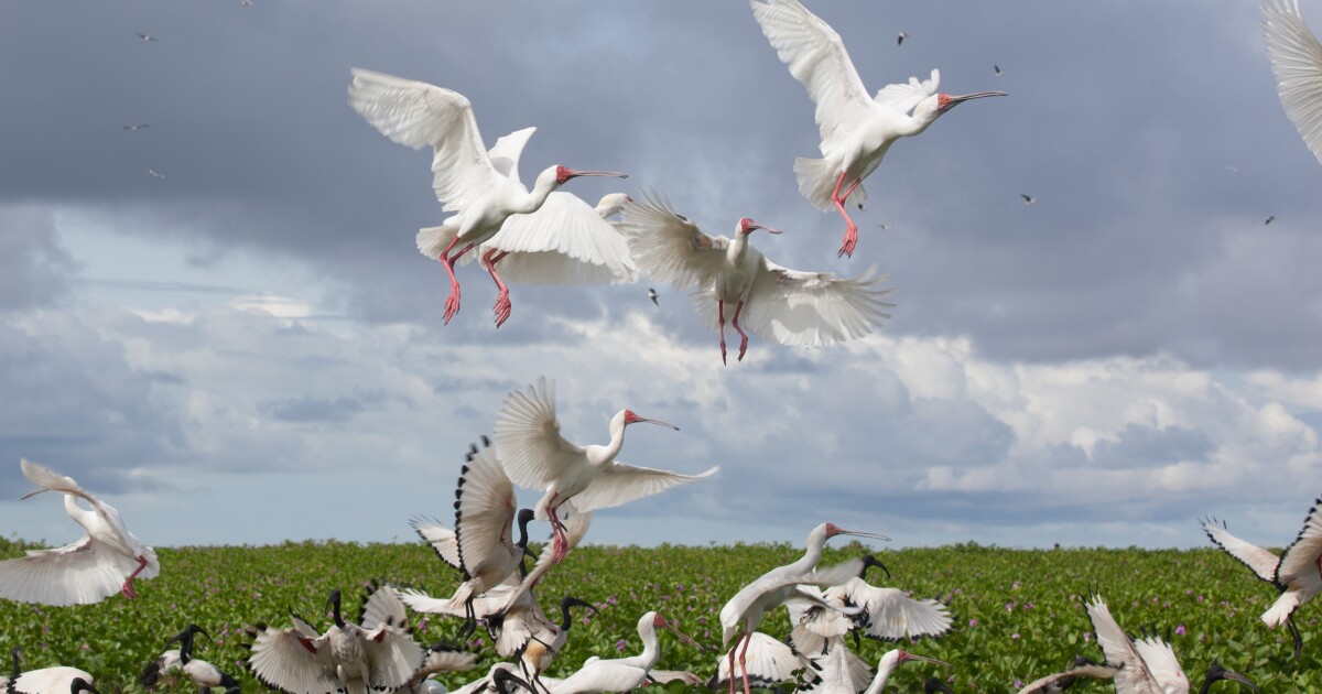 Hier zijn enkele van de nieuwste UNESCO -werelderfgoedsites